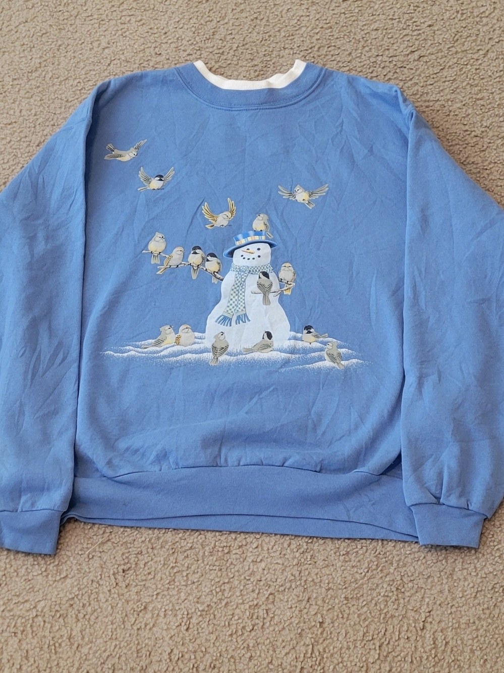 Blue Snowman Graphic Womans L Sweatshirt